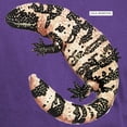 thumbnail image 3 of CafePress - Gila Monster Lizard Dark T Shirt - Men's Classic Graphic Cotton T-Shirt, 3 of 4