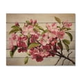 thumbnail image 3 of Designart "Apple Blossom Realistic botanic" Apple Blossom Print on Natural Pine Wood, 3 of 5