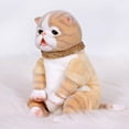thumbnail image 2 of Paradise Galleries® Adorable Fur-ever Babies, Ping Lau - Sculptor and Artist Designer Doll Collection, 9" Stuffed Animal w/ Teal Yarn Ball, Special Birthday Gift, Ages 3+ - Orange Tabby Kitten, 2 of 9