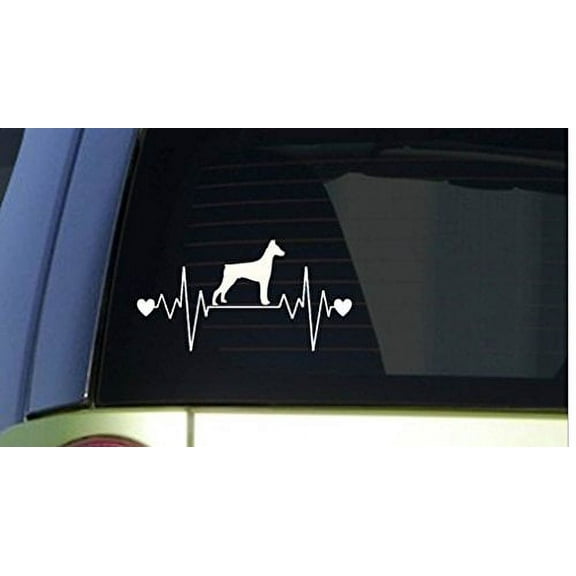 Doberman heartbeat lifeline *I204* 8" wide Sticker decal doberman pinscher