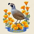 thumbnail image 3 of CafePress - California Quail And Golden Poppy T Shirt - Men's Classic Graphic T-Shirt, 3 of 4