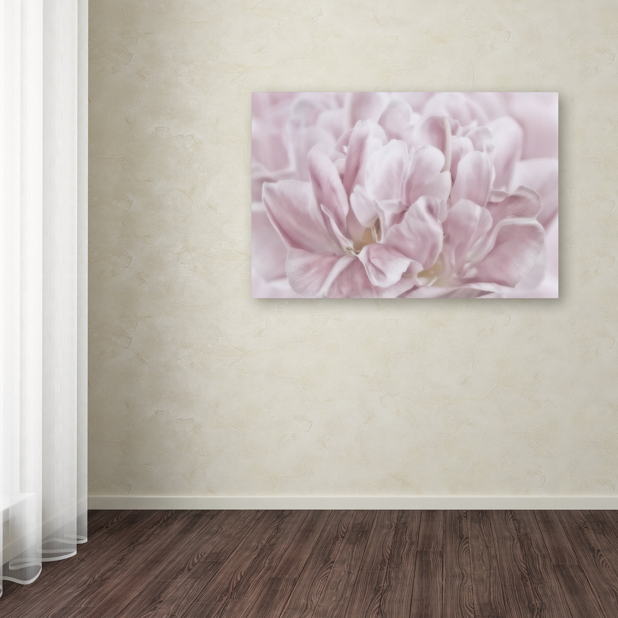 Trademark Fine Art 'Double Pink Tulip' Canvas Art by Cora Niele