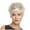 Silver White, variant on WXLCISI Short White Wigs for Women Pixie Cut Wig with Bangs Synthetic Hair Daily Party Wig(Silver White)