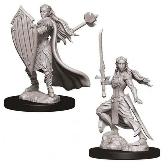 Dungeons & Dragons Nolzurs Marvelous Female Elf Paladin W9 Miniature
