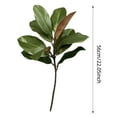 thumbnail image 4 of 22'' Realistic Southern Magnolia Branches, Real Touch Leaves, Artificial Magnolia Picks for Home Décor, 4 of 6