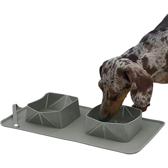 Plato para Mascotas Bluelander con 2 Tazones, Antideslizante, Gris
