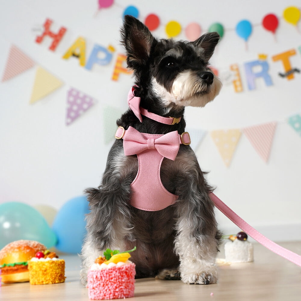 Pet Artist 4pcs Cute Bowtie Dog Harness and Collar and Leash and Poo Bag Holder Adjustable Pet Puppy Cat Vest