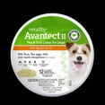 thumbnail image 2 of Vetality 190623250491 15 in. Avantect II Flea & Tick Collar for Dogs, 2 Count, 2 of 3