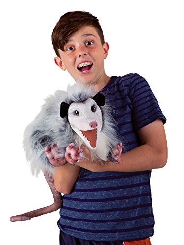 Opossum Puppet, (Hardcover)