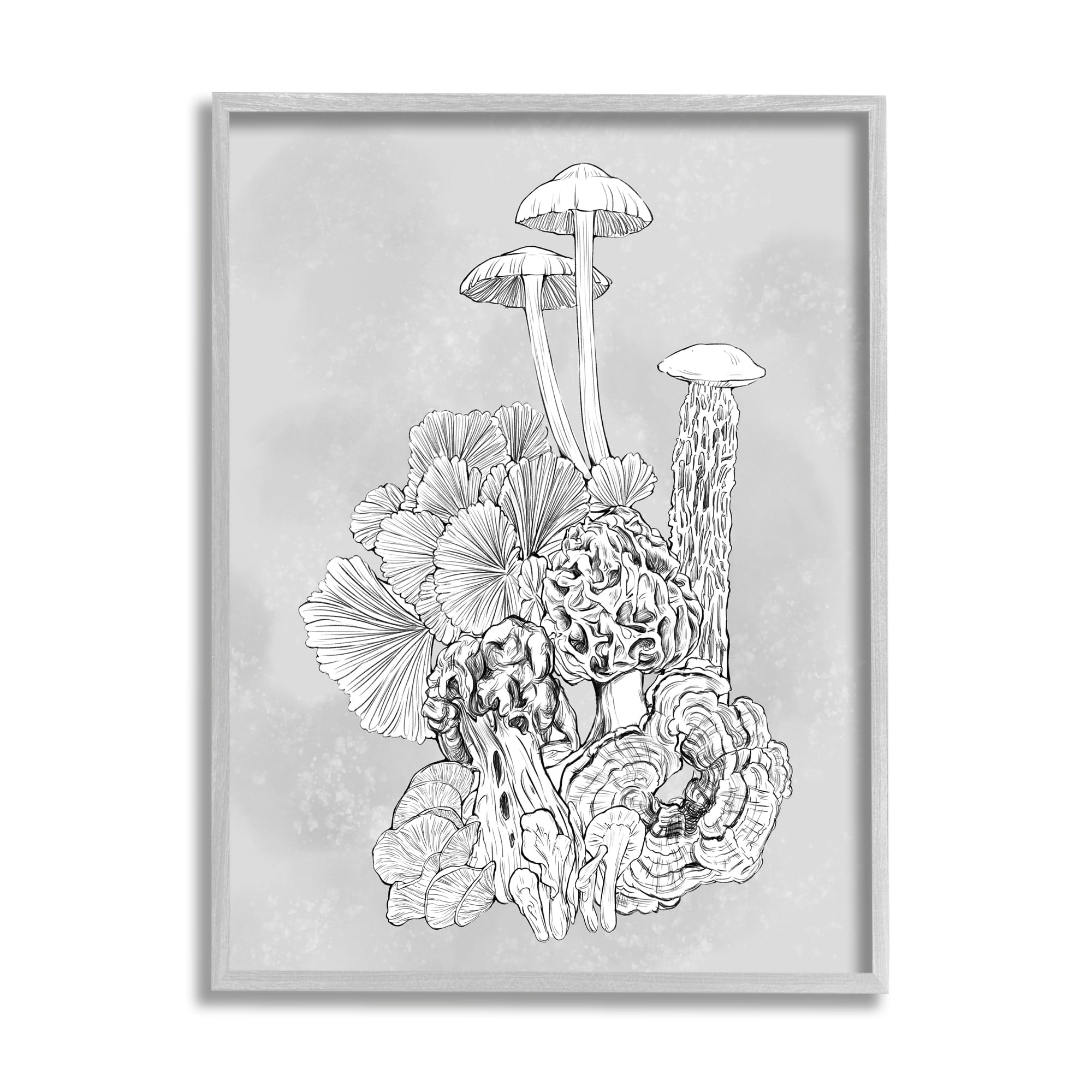 Stupell Industries Detailed Botanical Drawing Mushroom Proliferate Plant Study,11 x 14, Design by Ziwei Li