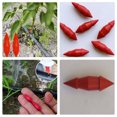 thumbnail image 3 of Miangastore 50pcs Plastic Irrigation Pipe Hole Plugs Drip Irrigation Plugs Pipe Repairing Plugs, 3 of 8