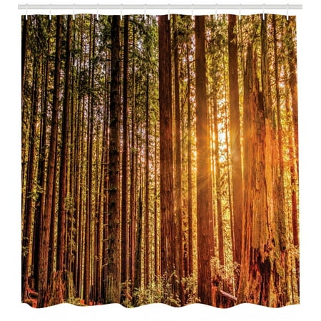 United States Shower Curtain Tall Trees Red Woods Forest Humboldt
