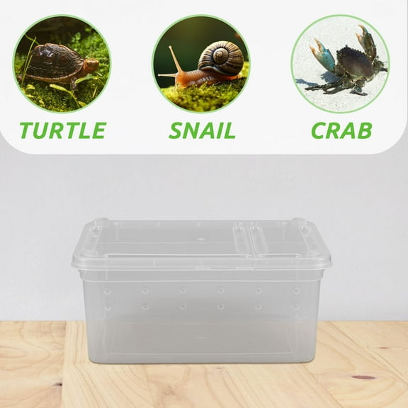 BESTOYARD Portable Reptile Feeding Box Acrylic Breeding Enclosure for Tarantulas Snails and Geckos