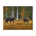 thumbnail image 3 of Spring Forest Bears Nature Wilderness Photography Canvas Wall Art for Home Decor Ready-to-Hang, 3 of 7