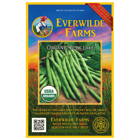 Everwilde Farms - 70 Organic Blue Lake Green Bush Bean Seeds - Gold Vault Jumbo Bulk Seed