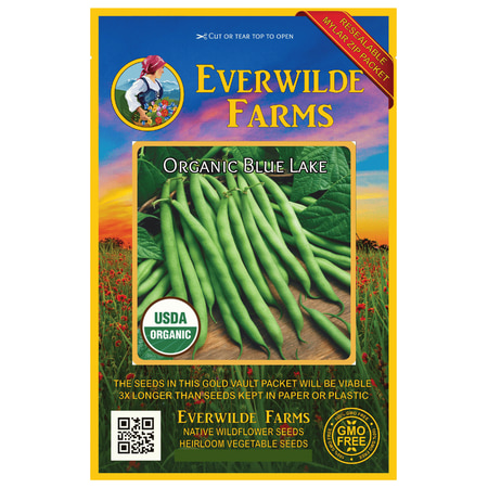 Blue Lake Seeds Everwilde Farms - 70 Organic Blue Lake Green Bush Bean Seeds - Gold Vault Jumbo Bulk Seed Packet ()