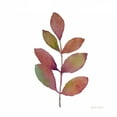 thumbnail image 2 of Coulter, Cynthia 12x12 White Modern Wood Framed Museum Art Print Titled - Modern Leaf Study on White III, 2 of 4