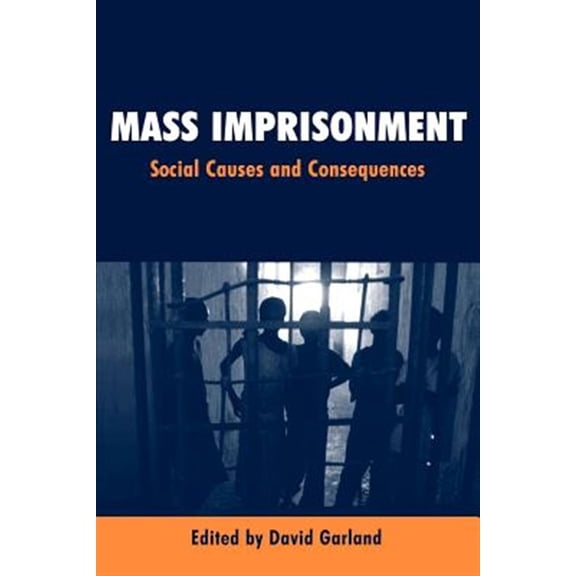 Pre-Owned Mass Imprisonment: Social Causes and Consequences (Paperback)