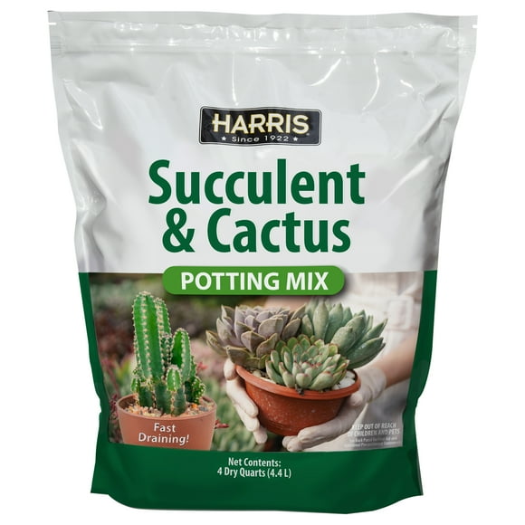 Cactus Potting Soil