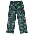 thumbnail image 5 of Minecraft Kid's AOP Creeper & Icons Print 2-Piece Long Sleeve Button Down Coat Elastic Waist Pajama Pant PJ Sleep Set, 5 of 6