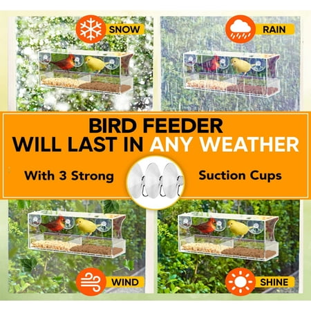 Nature’s Hangout Clear Suction Cup Window Bird Feeder for Wild Birds