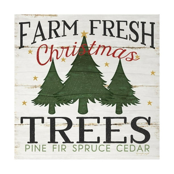 Farm Fresh Christmas Trees Print Wall Art By Jennifer Pugh Walmart