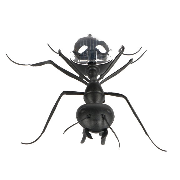 Hormiga Insecto Niños Cucaracha Juguetes Mágico Solar Juego de Insectos Aprender Juguetes Educativos Regalo Vogacara WJ3916-01B