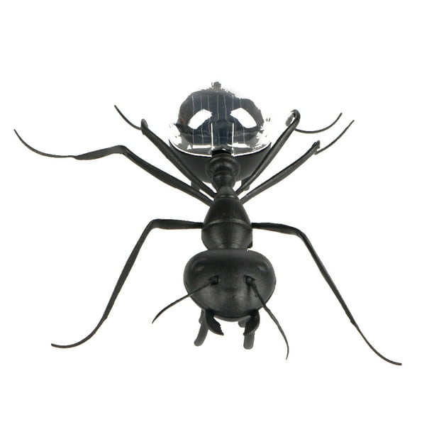 Hormiga Insecto Niños Cucaracha Juguetes Mágico Solar Juego de Insectos Aprender Juguetes Educativos Regalo Methold WJ3916-01B