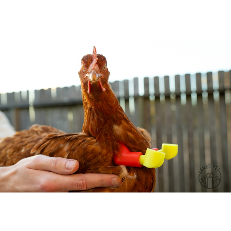 3D Printed Chicken Arms: Fun & Funny Models to 3D Print