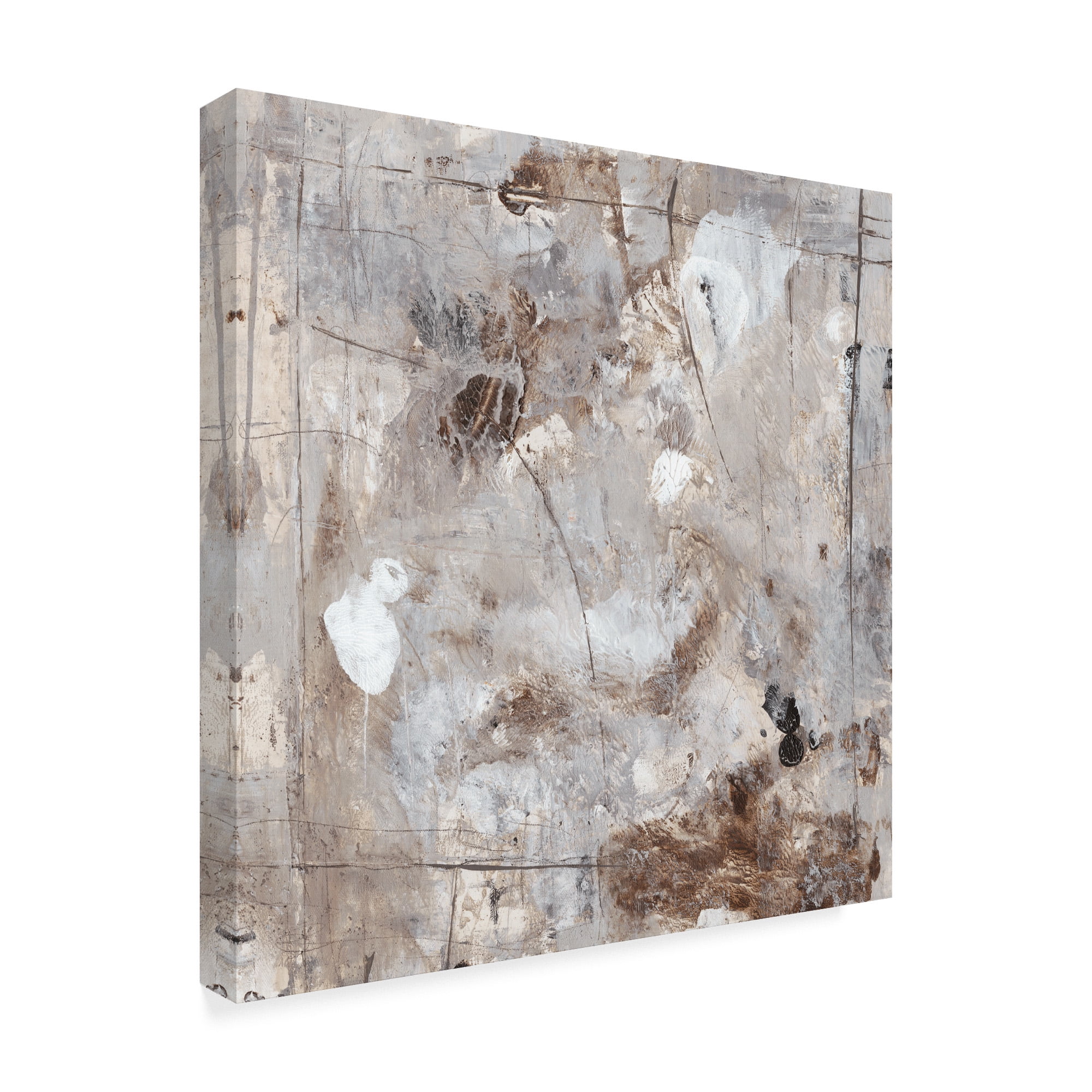Trademark Fine Art 'Neutral Jostle II' Canvas Art by Tim OToole