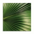 thumbnail image 2 of Gango Home Decor Contemporary Nature Up-Close IV by Monika Burkhart (Printed on Paper); One 16x16in Fine Art Paper Giclee Print, 2 of 4
