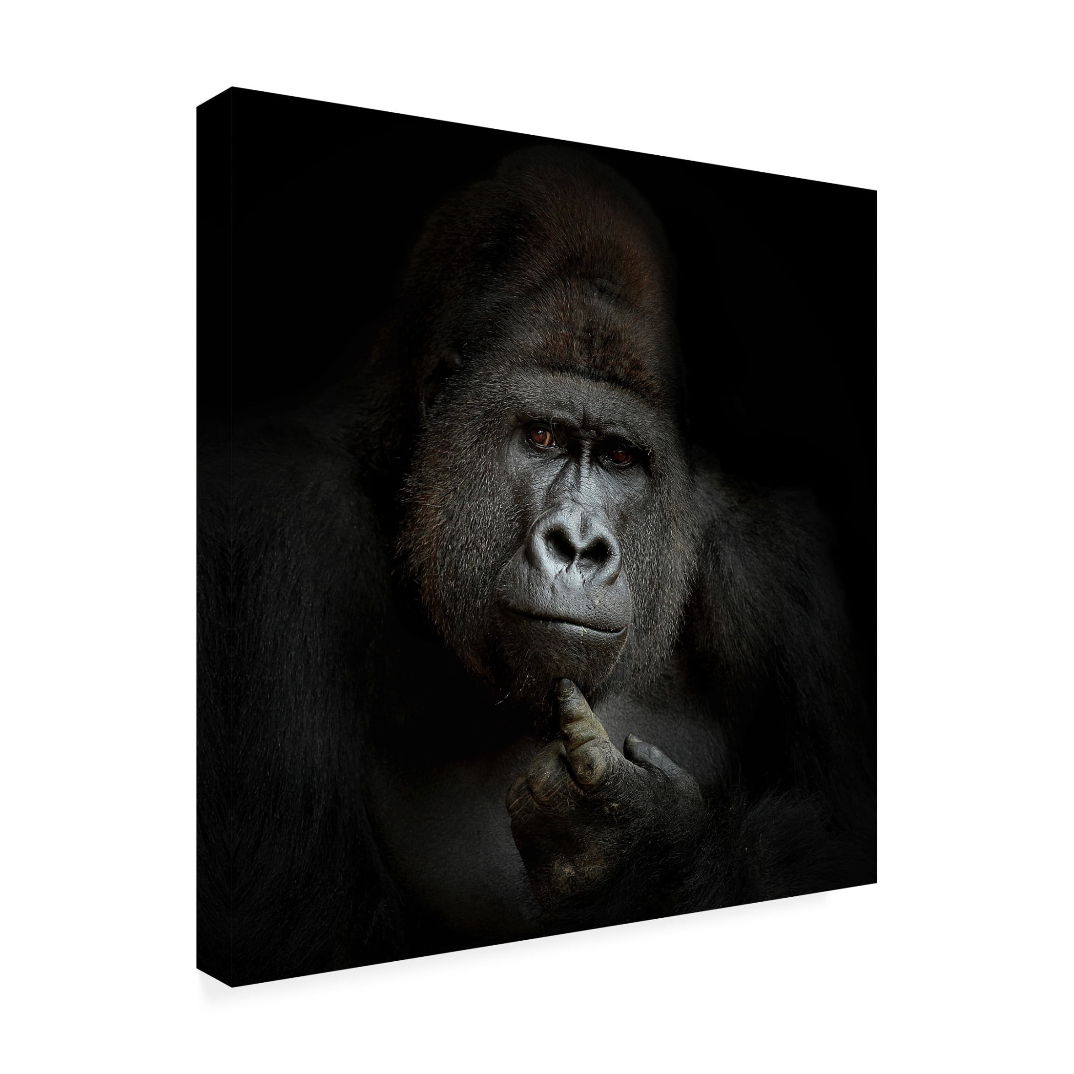 Antje Wenner Braun 'Ego Cogito Ergo Sum' Canvas Art - 35 x 35 Inches