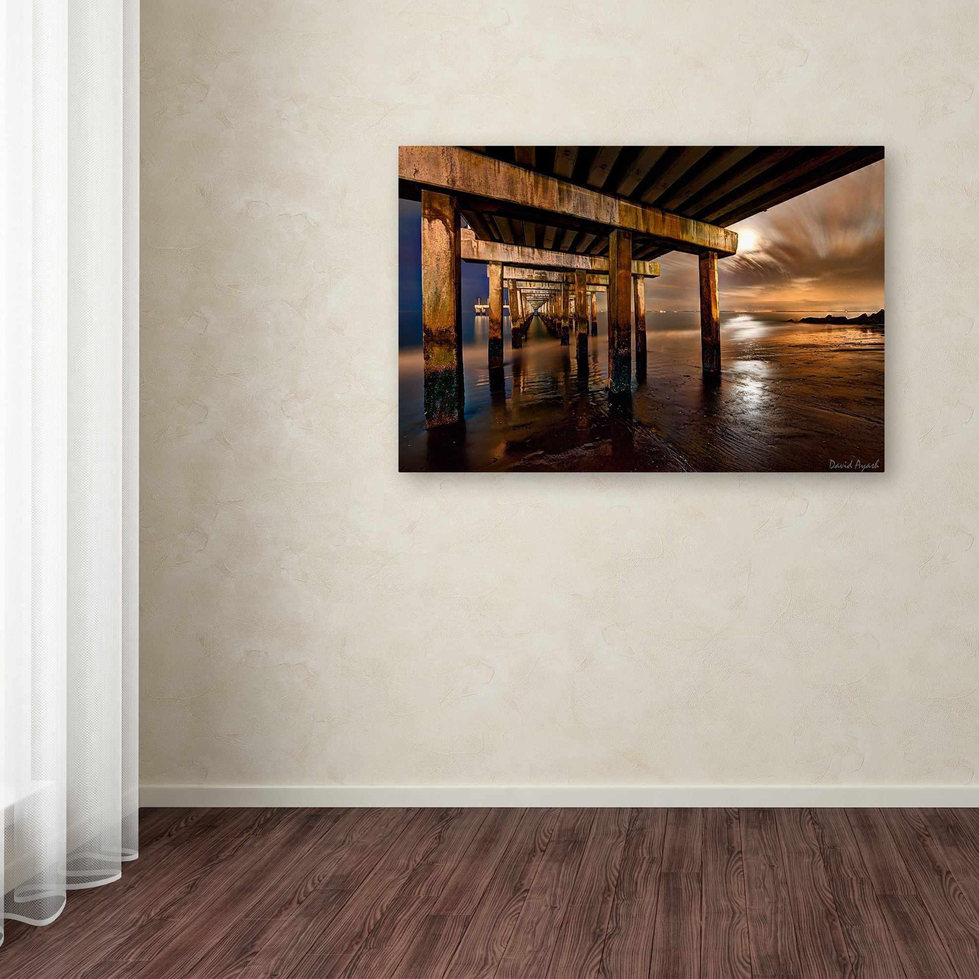 Trademark Fine Art "Coney Island Pier by Moonlight" Canvas Art by David Ayash