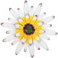 thumbnail image 1 of Metal Flower Wall Decor Iron Flower Wall Art Decor Living Room Wall Hanging Adornment, 1 of 4