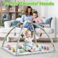 thumbnail image 5 of WonderStone 5-in-1 Baby Gym & Play Mat, Tummy Time Toys with Sensory Toys & 18 Balls for Newborns and Infants 0-12 Months, Dinosaur, 5 of 8