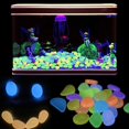 thumbnail image 3 of BAMAIA Fish Tank Rocks Glow Multi-Colored Glow in The Dark Pebbles for Fish Tank Aquarium Garden Plant Pots Bonsai Walkway Driveway(100 Pcs, Multi-Colored), 3 of 7