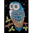 thumbnail image 2 of KSG Crafts Night Owl Sequin Kit, 2 of 4