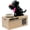 Black, variant on Dog Piggy Bank, My Dog Piggy Bank, Puppy Money Saving Box, Cute Automatic Stealing Coin Bank, Bank Money Saving Box Dog Shake Heads Tail Ears Rotating(Brown)