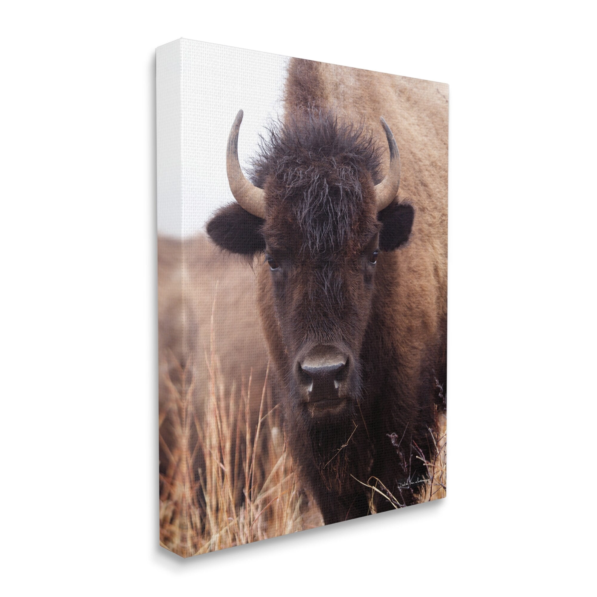 Stupell Industries Tall Grass Bison Portrait Country Cattle Autumn Photography, 16 x 20,Design by Debra Van Swearingen