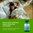 thumbnail image 6 of Swanson Sleep Essentials 60 Veggie Capsules, 6 of 7