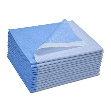 Avalon Papers 359 Stretcher Sheet, Tissue/Poly, 40'' x 90'', Blue (Pack of 50)