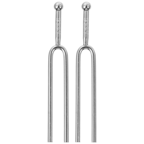 2 diapasones especiales para guitarra, accesorios musicales, 440 Hz, color plateado.