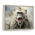 thumbnail image 2 of Designart "Africa Monkeys Faces" Animals Floater Framed Canvas Print, 2 of 7