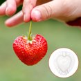thumbnail image 1 of SASABAXI 5Pcs Reusable Fruit Growing Mould for Garden and Farm Use, 1 of 6