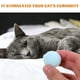 thumbnail image 3 of KAKOWELY 50 piezas de juguete de peluche colorido para gatos y gatitos, divertidos juguetes interactivos., 3 of 5