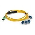 thumbnail image 2 of patch cable - 10 ft - yellow, 2 of 8