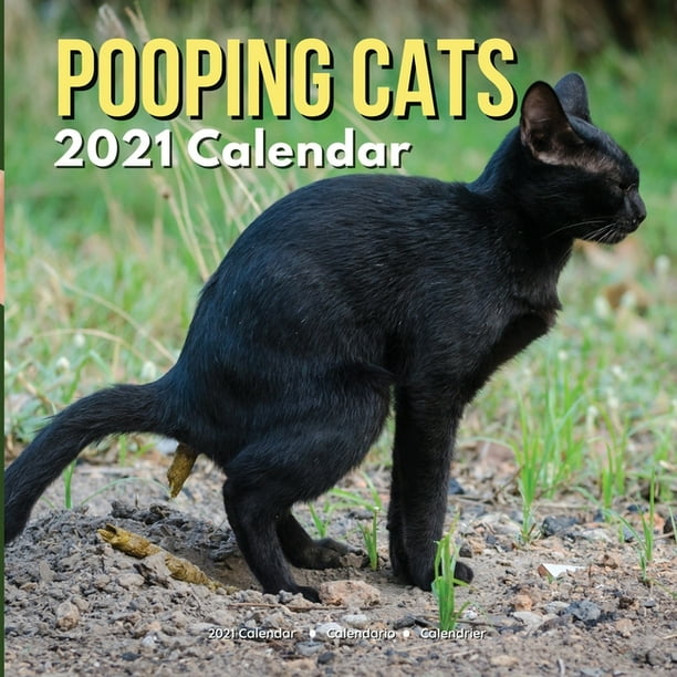 Pooping Cats Calendar 2021 : Funny Animal Gag Joke Presents for Men Kids Women Birthday Christmas Stocking Stuffers Fillers Gifts (Paperback) - Pooping Cats Calendar 2021 : Funny Animal Gag Joke Presents for Men Kids Women Birthday Christmas Stocking Stuffers Fillers Gifts (Paperback) -