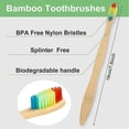 thumbnail image 2 of 40 Pcs Soft Bristles Bamboo Toothbrush, Biodegradable Natural Bamboo Charcoal Toothbrushes, Eco Friendly Color Bristle Wood Tooth Brushes, 2 of 5