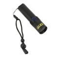 Black Light UV 365nm Flashlight Professional Blacklight LED Handheld