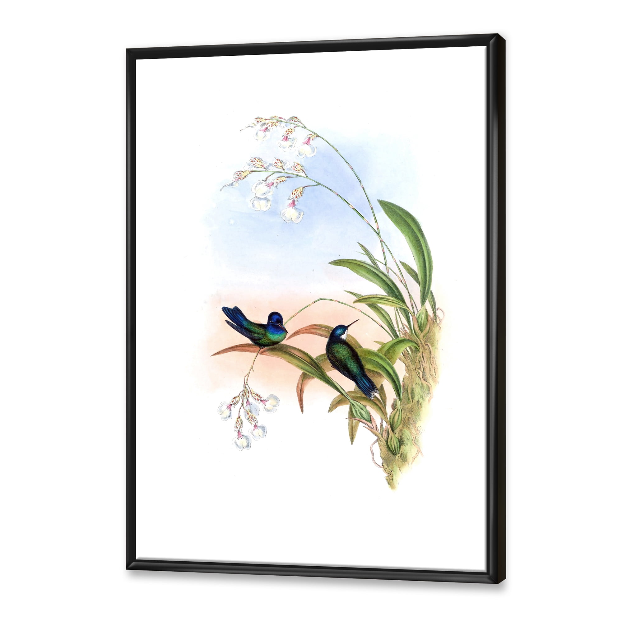 Designart 'Ancient Hummingbird III' Traditional Framed Canvas Wall Art Print